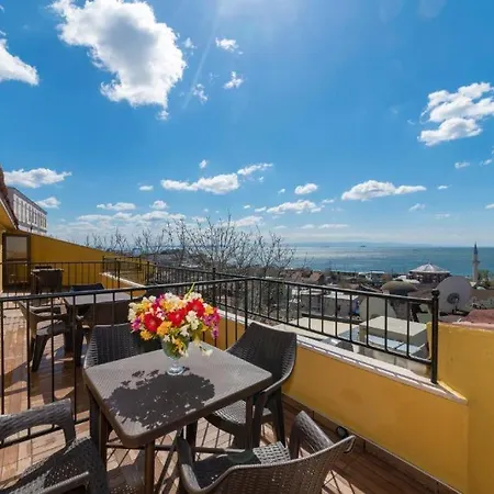 特级竞技场酒店 酒店