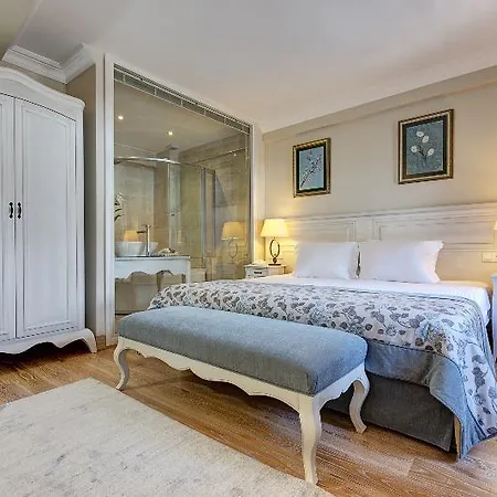 酒店 特级竞技场酒店 伊斯坦布尔