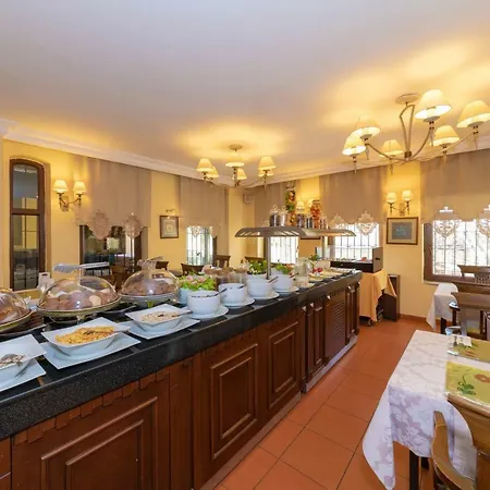 酒店 特级竞技场酒店 3*