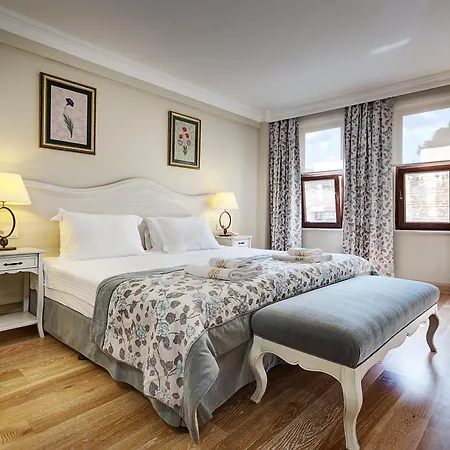 Arena - Special Class