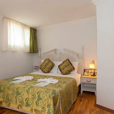 Arena - Special Class