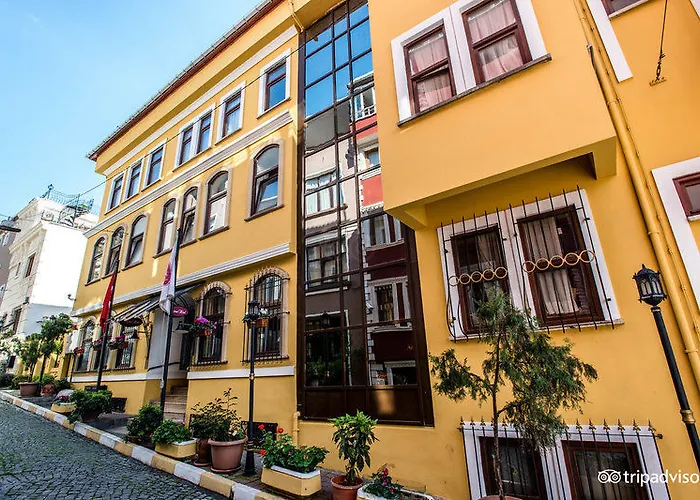 Arena - Special Class Istanbul