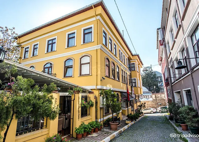 Arena - Special Class Istanbul