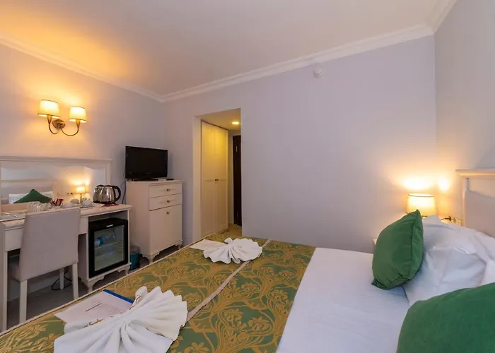 Arena - Special Class 3*